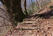 Festa di fiori sui sentieri per il Monte Ubione-19mar24